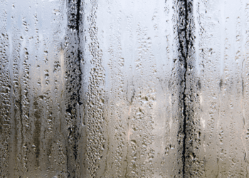 How to Stop Condensation in Shipping Containers